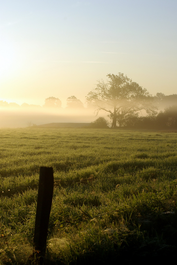 Morgens...halb 8 in Deutschland