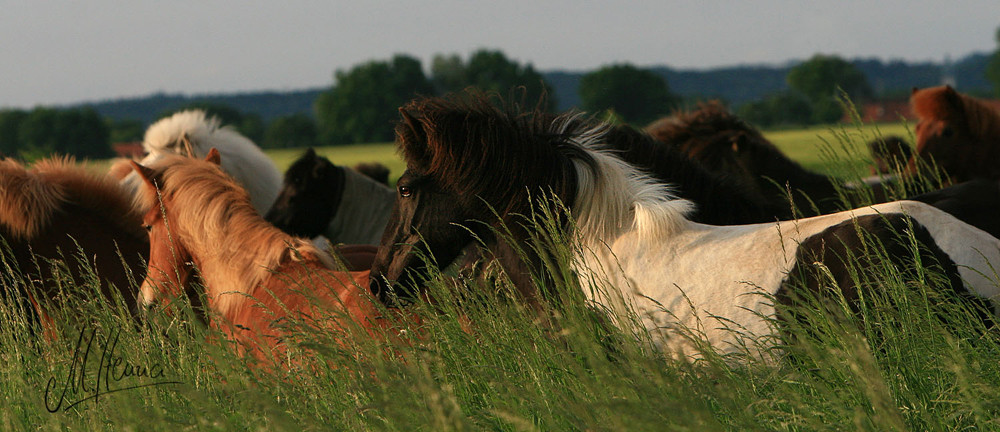 Morgens,halb sechs