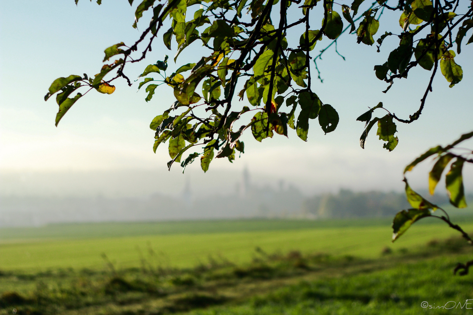 Morgens.halb.zehn.in.Deutschland.