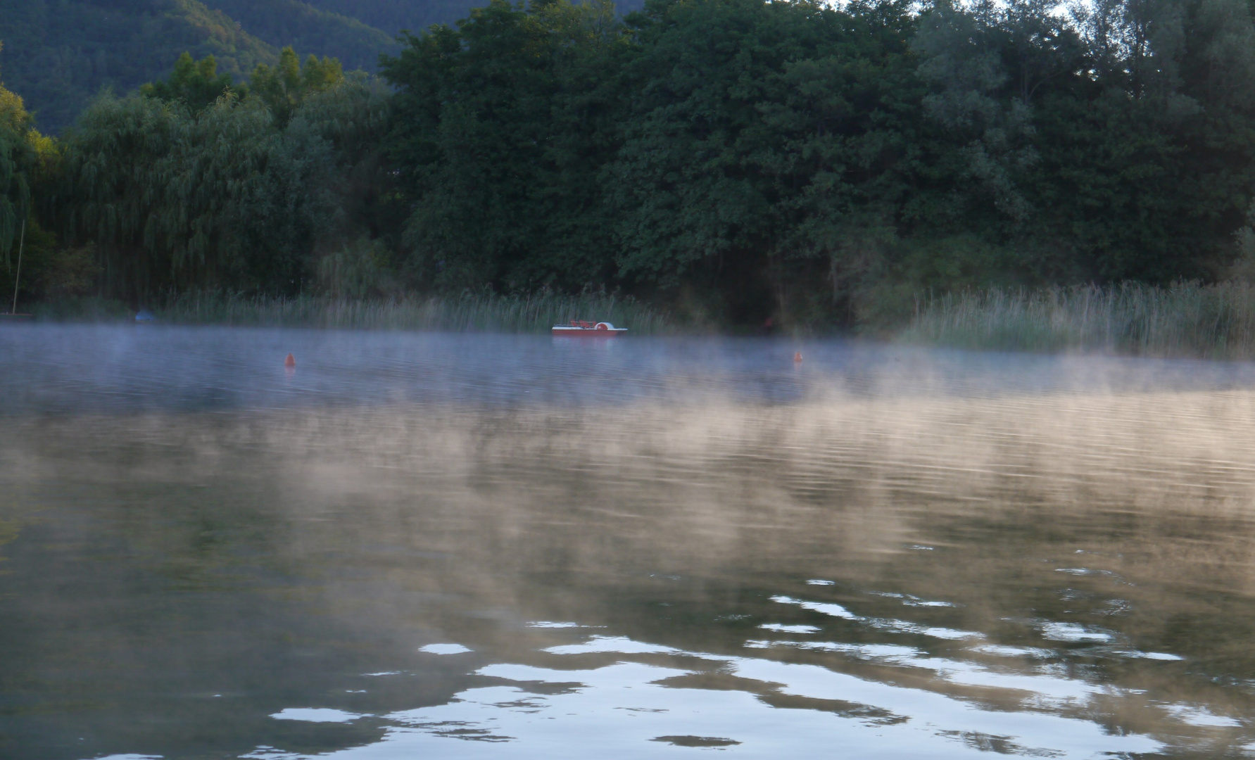 Morgensnebel am See - Lago di Levico