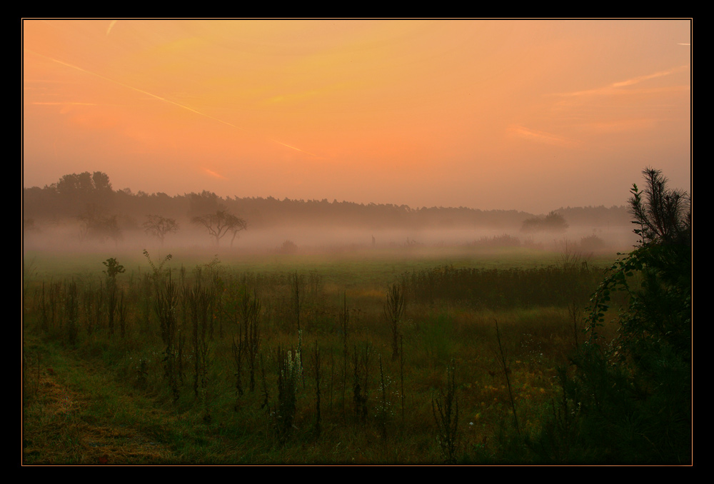 Morgensnebel