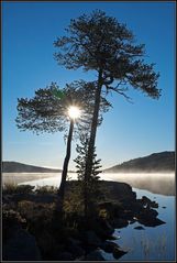 "Morgensol" einmal vertikal ...