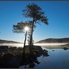 Morgensol ved Gutulisjøen 2