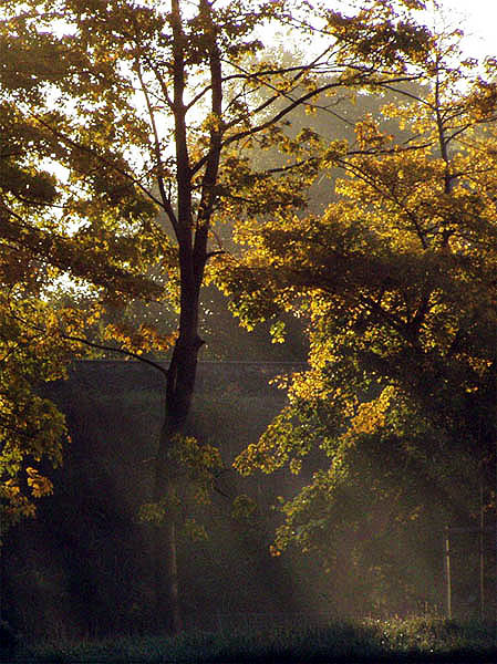 Morgensonne von Guenter Haeusler