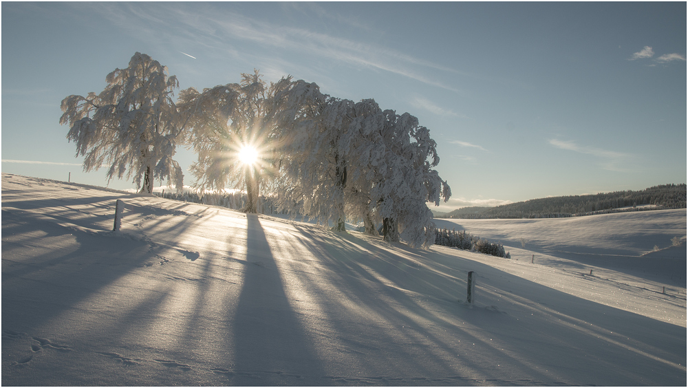 Morgensonne