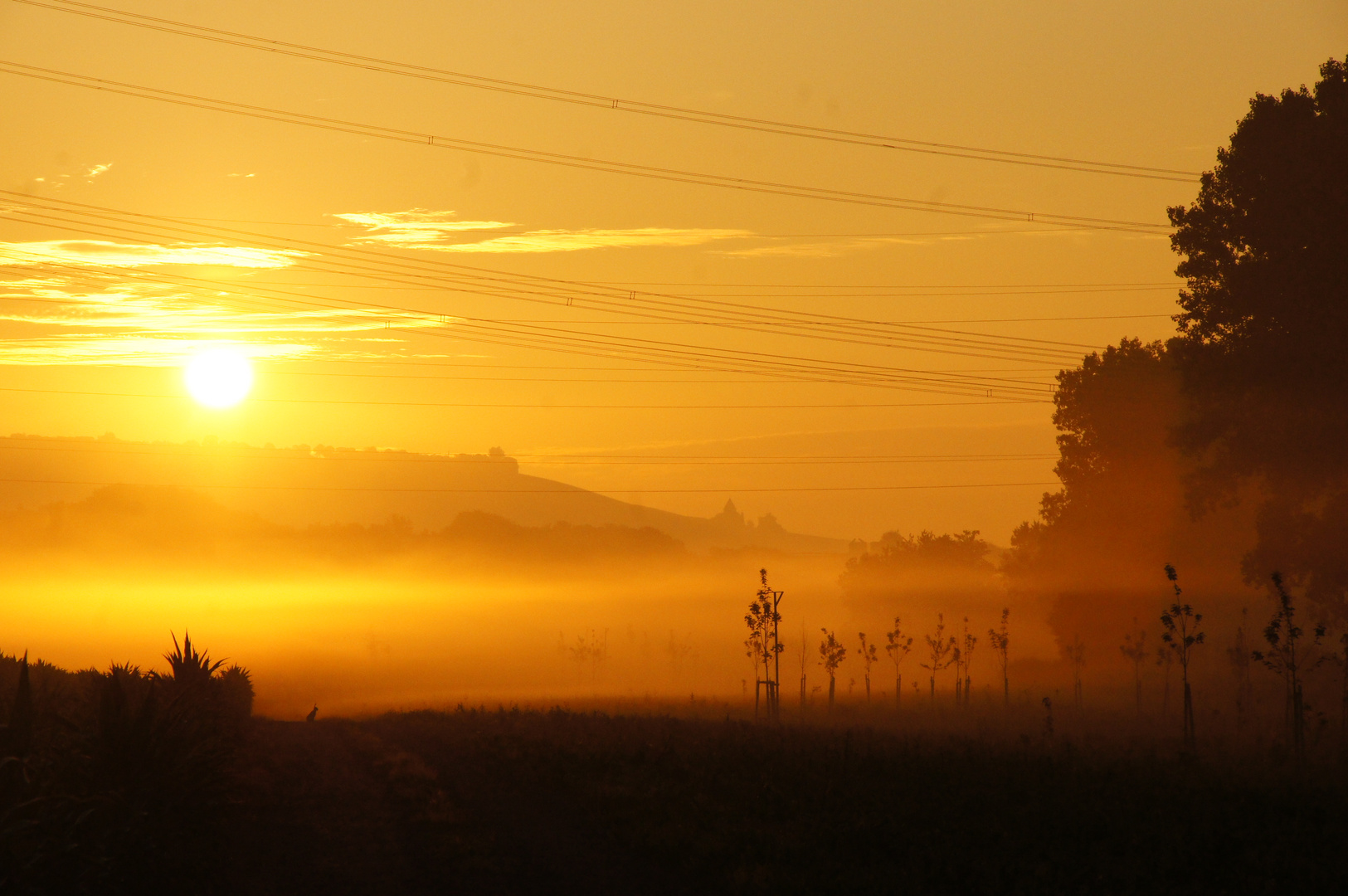 Morgensonne