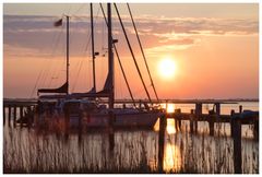 Morgensonne am Bodden