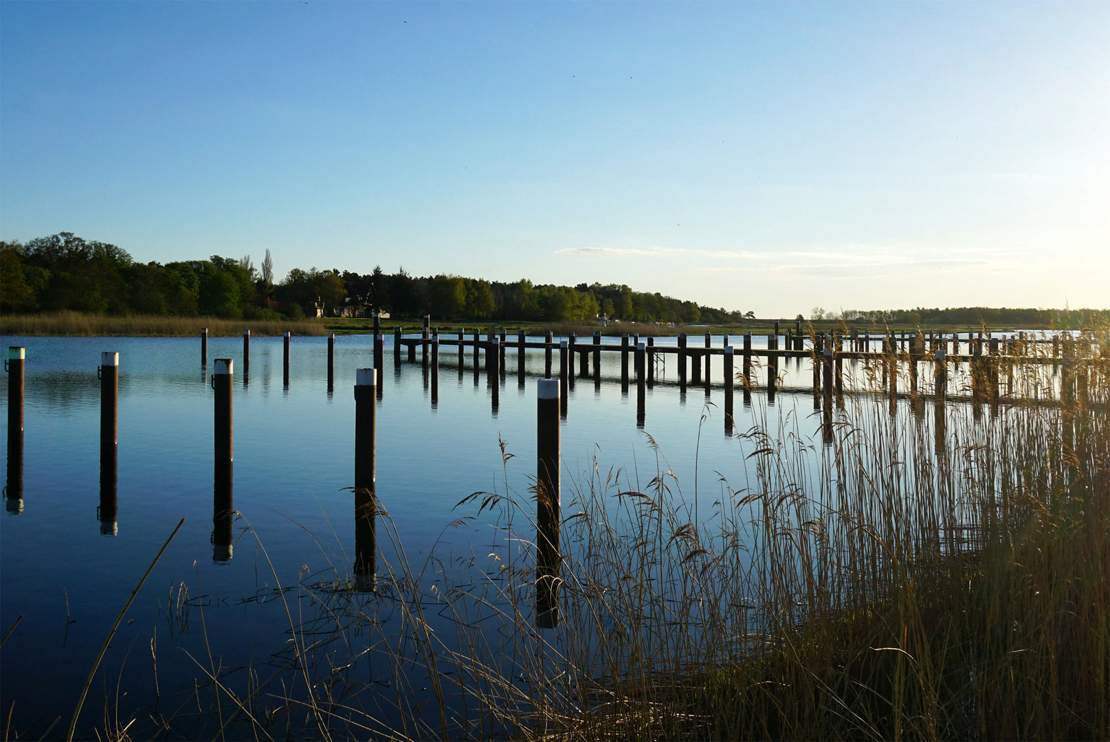 Morgensonne am Bodden