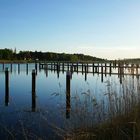 Morgensonne am Bodden