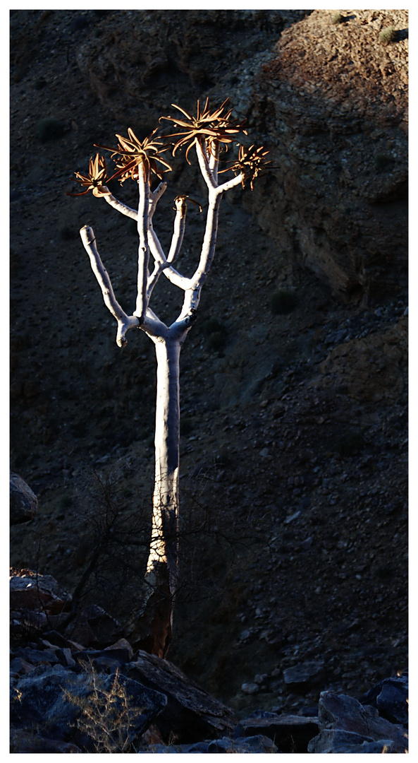 Morgensonne am  Fish River Canyon