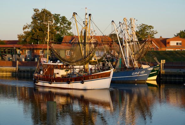 Morgensonne am Hafen