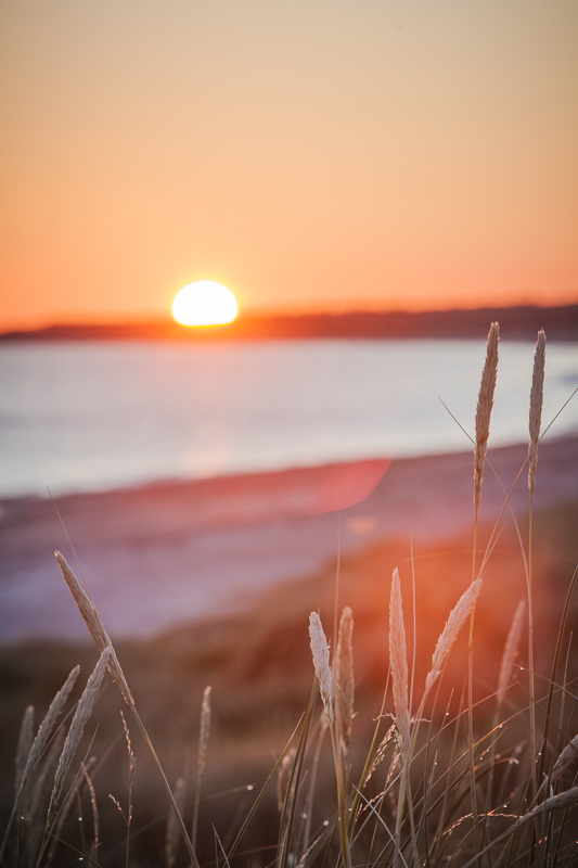 Morgensonne am Kattegat