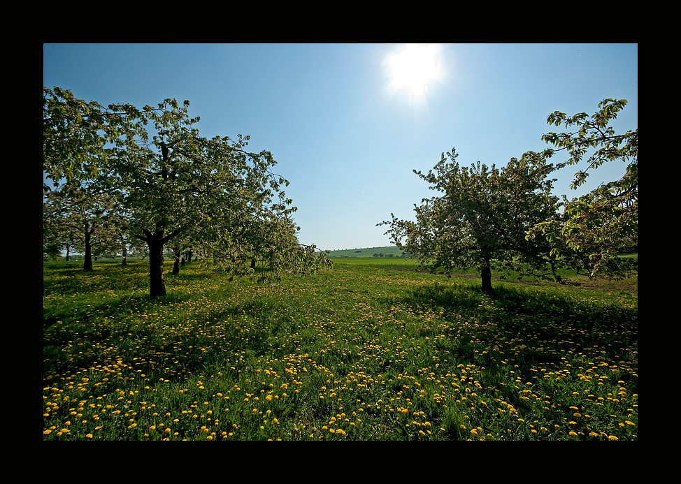 Morgensonne am Ostersamstag