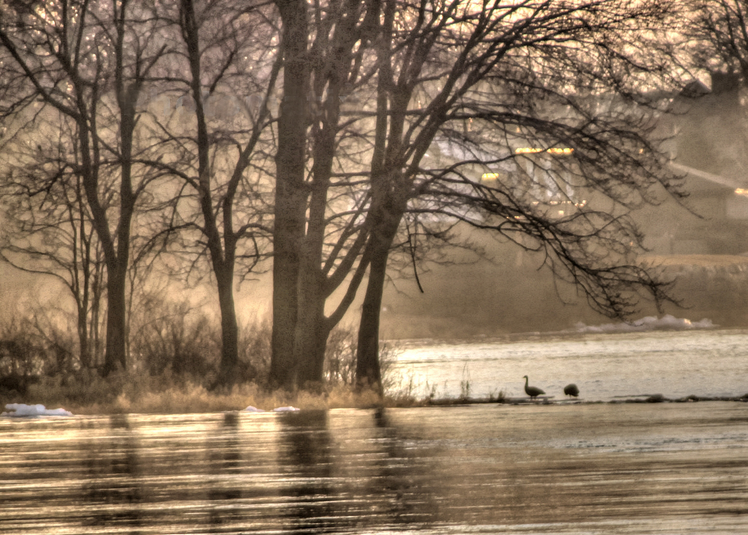 Morgensonne am Riviere des Prairies