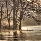 Morgensonne am Riviere des Prairies