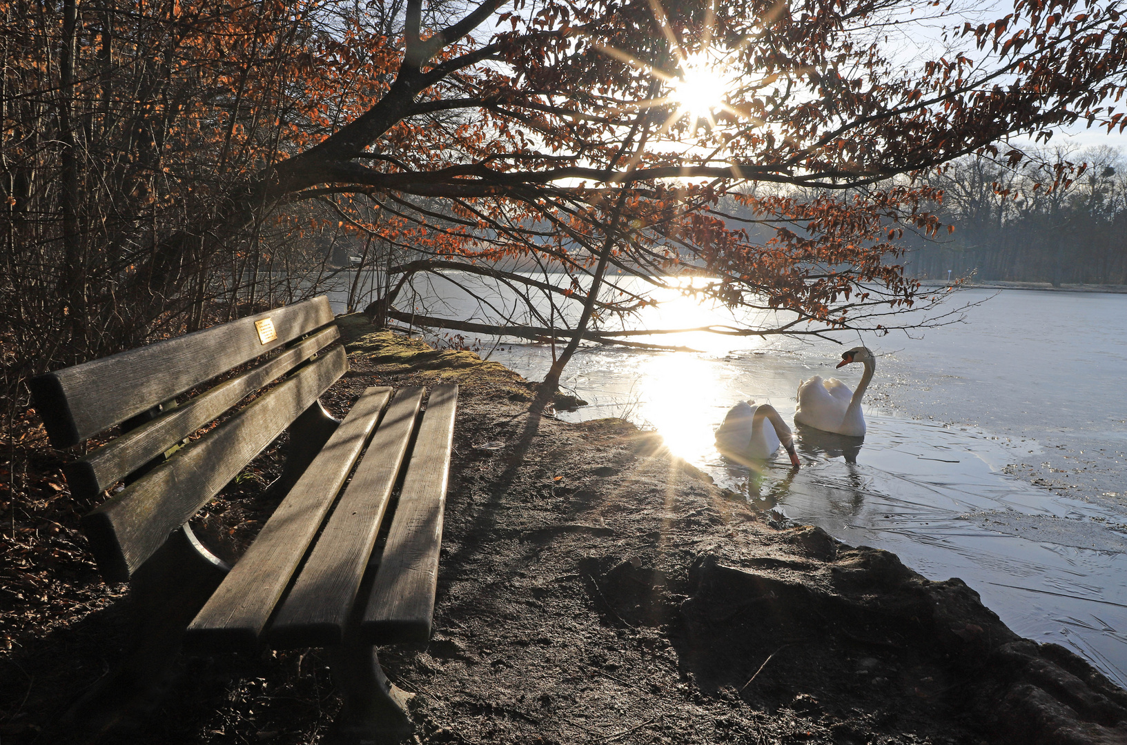 Morgensonne am See