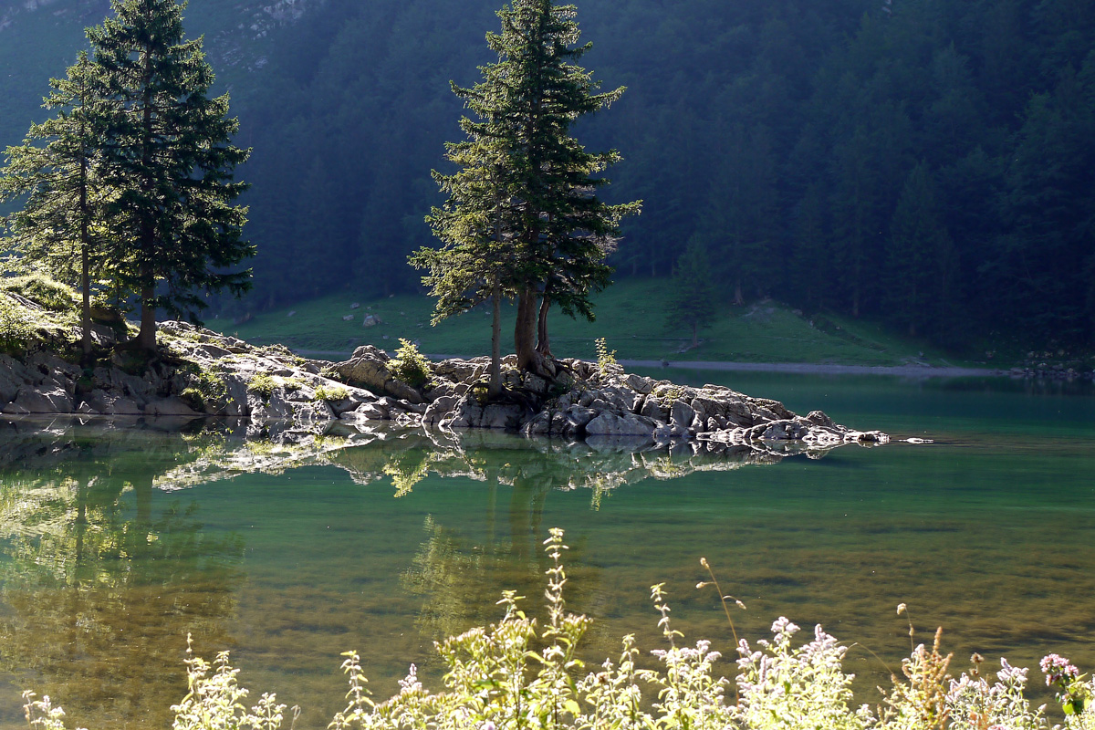 Morgensonne am Seealpsee...