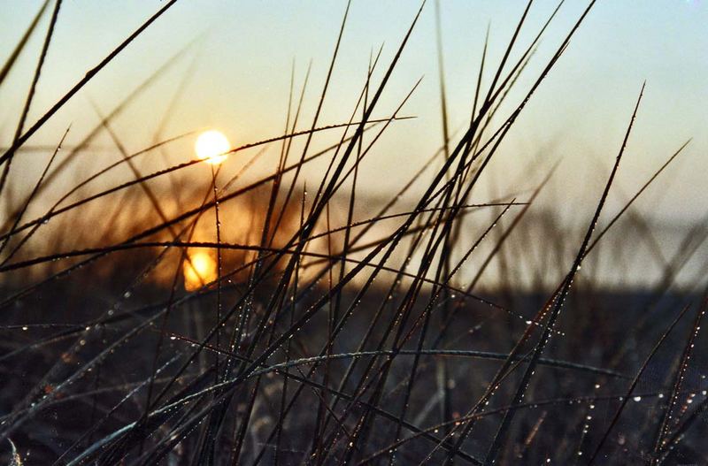 morgensonne am strand.......