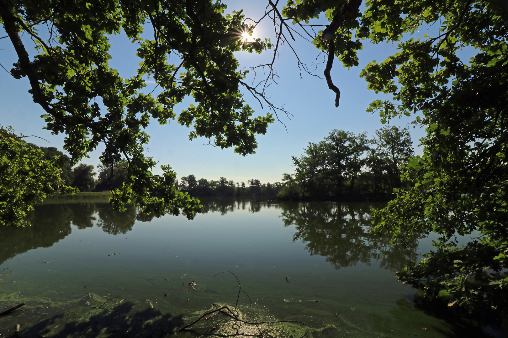 Morgensonne am Teich