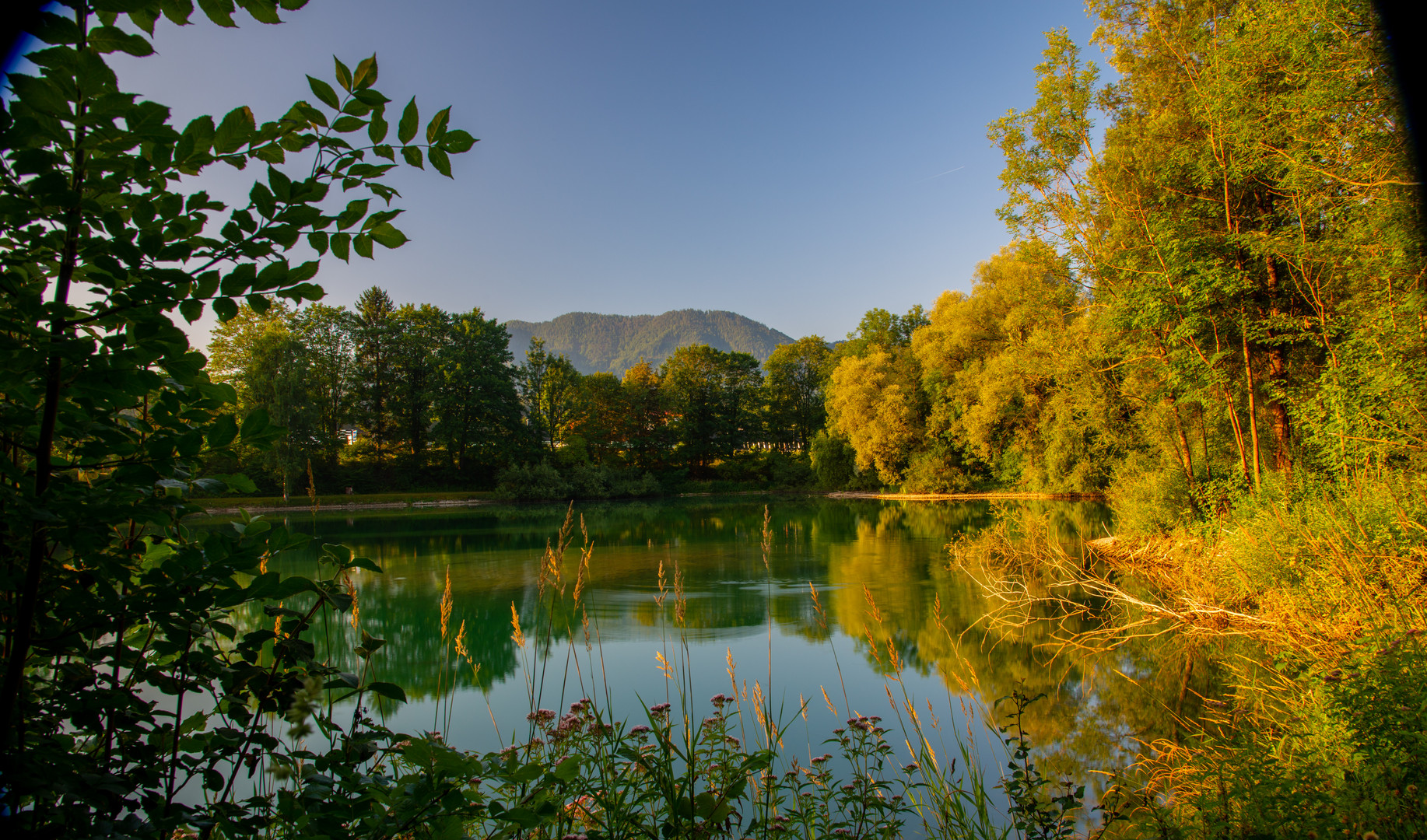 Morgensonne am Teich