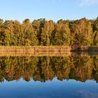 Morgensonne am Vogelwoog