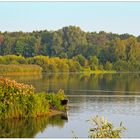 Morgensonne auf dem See