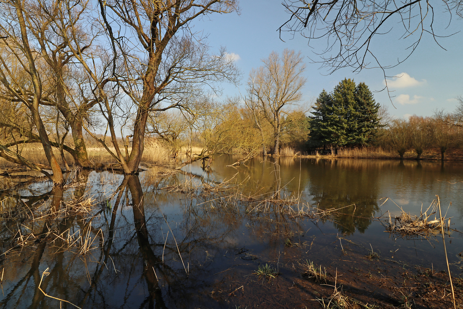 Morgensonne auf dem Wasser 