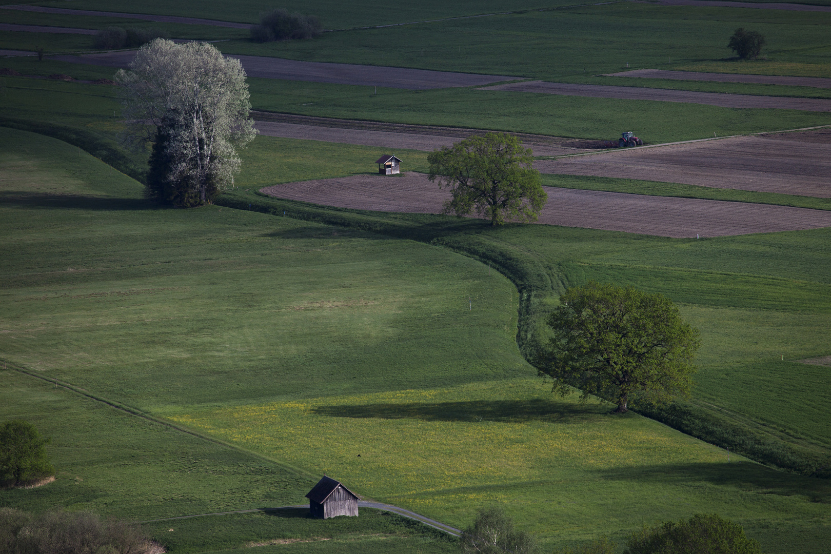 Morgensonne auf den Frühlingsfeldern