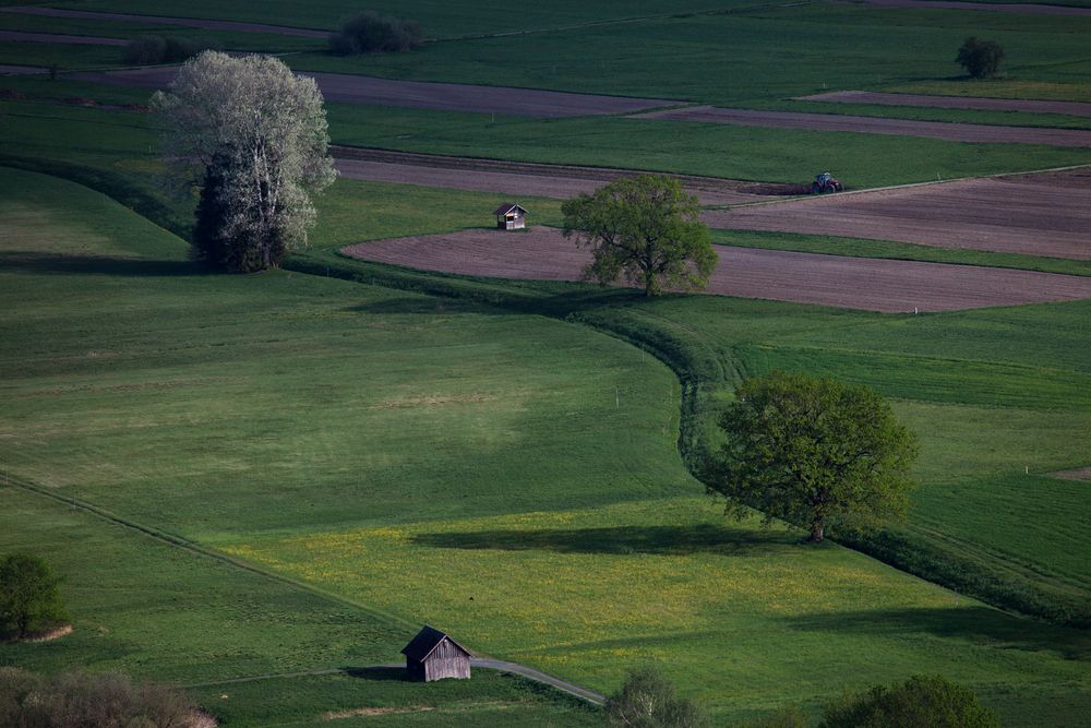 Morgensonne auf den Frühlingsfeldern