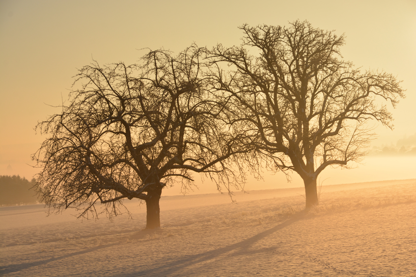 Morgensonne bei -15°C auf einem Schneehang