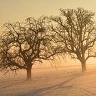 Morgensonne bei -15°C auf einem Schneehang