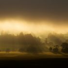 Morgensonne bei Hopferau