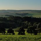 Morgensonne bei Lenkersdorf