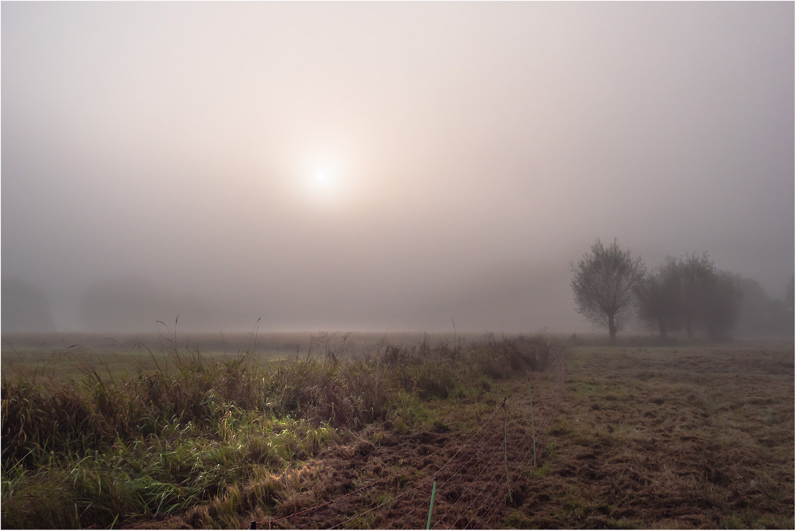 Morgensonne durchbricht den Nebel ...