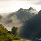 Morgensonne gegen Nebelschwaden