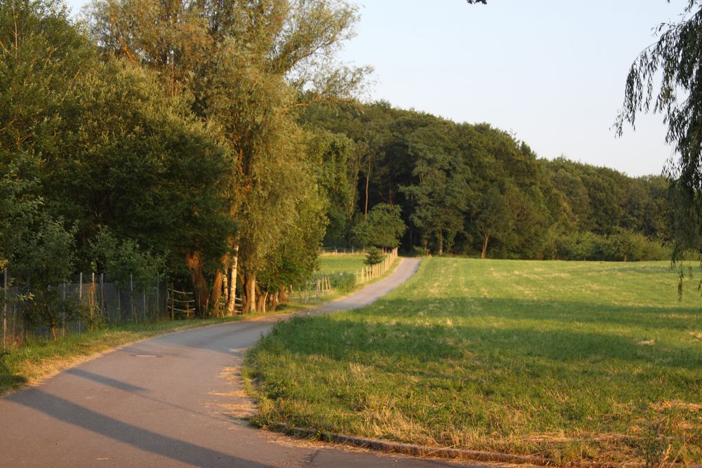 Morgensonne, Haltestelle Erlenboden - Aussiedlerhöfe