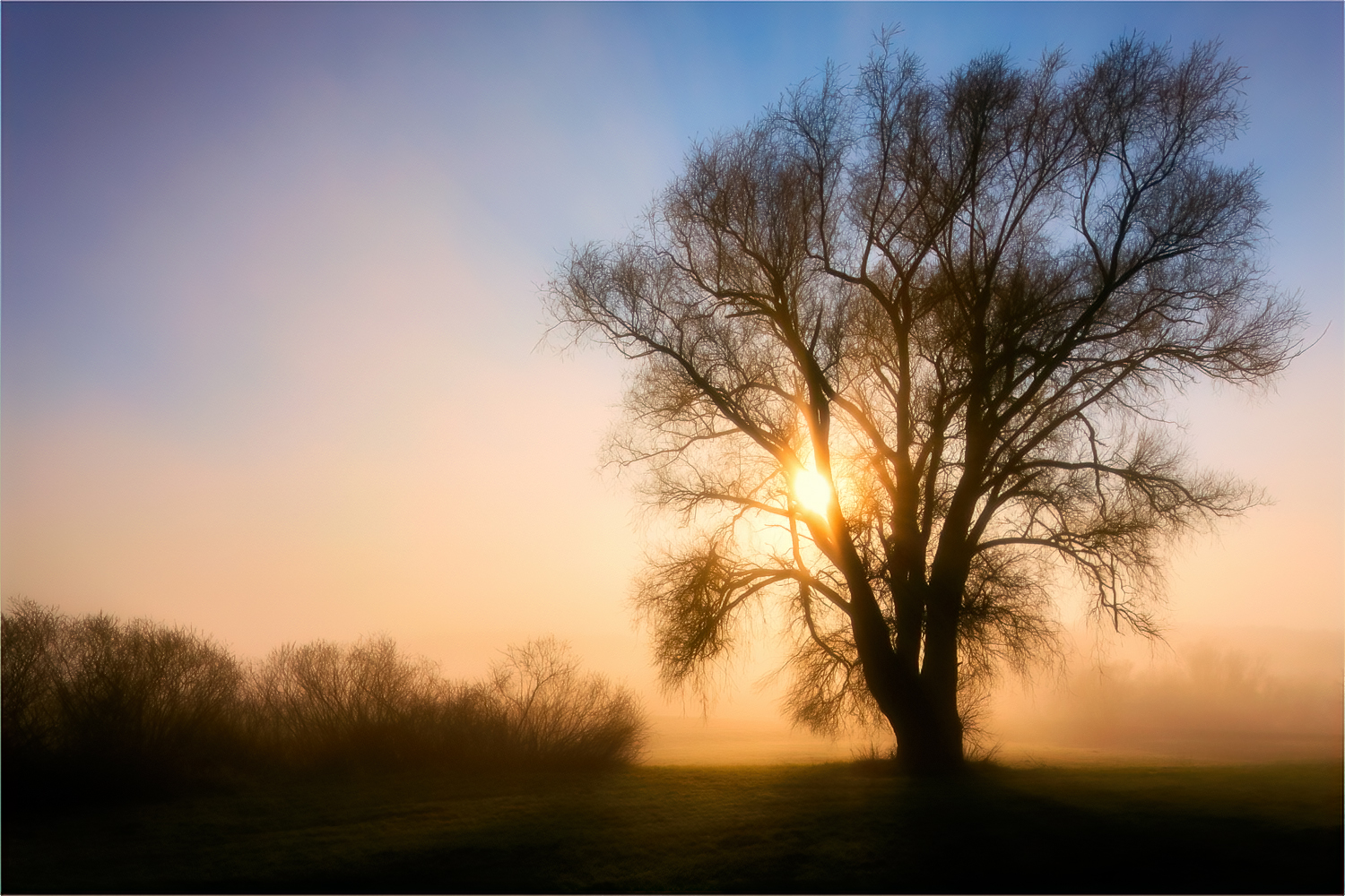 Morgensonne im April