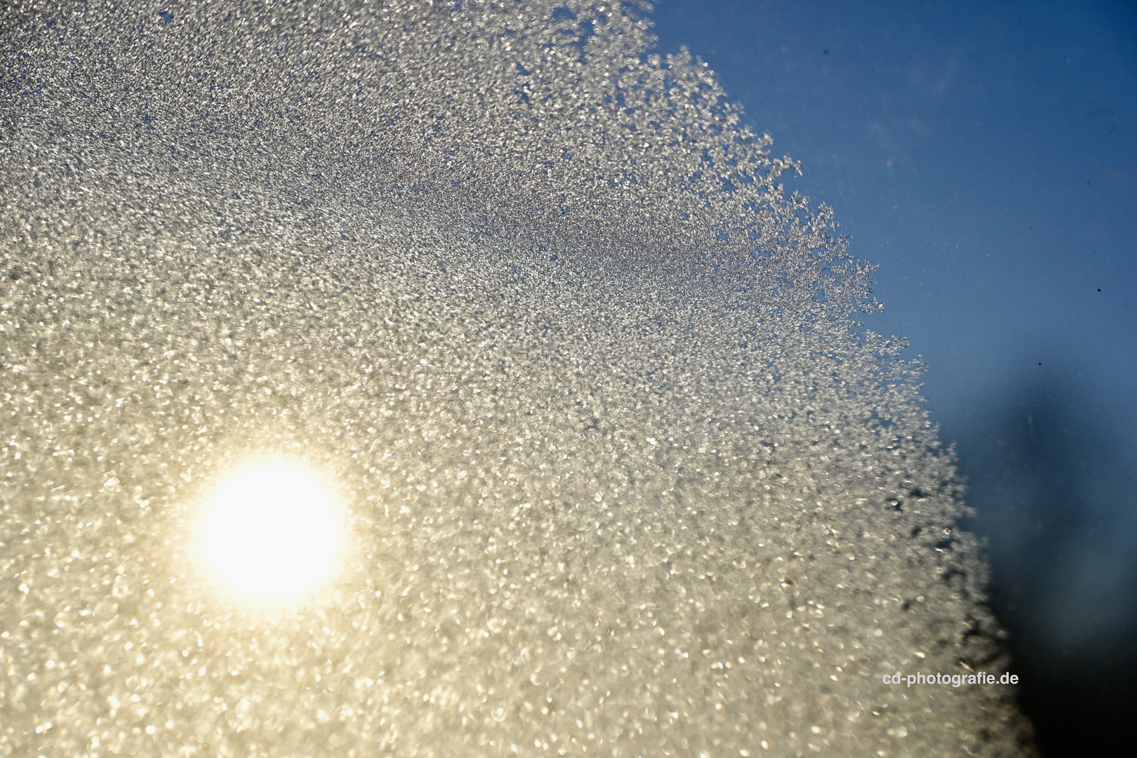 Morgensonne im Eiskristall