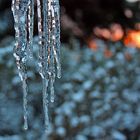 Morgensonne im Eiszapfen als der Winter letzte Woche kurz vorbeischaute
