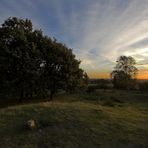 Morgensonne im Elfenreich