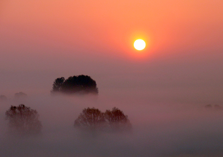 Morgensonne im Nebel