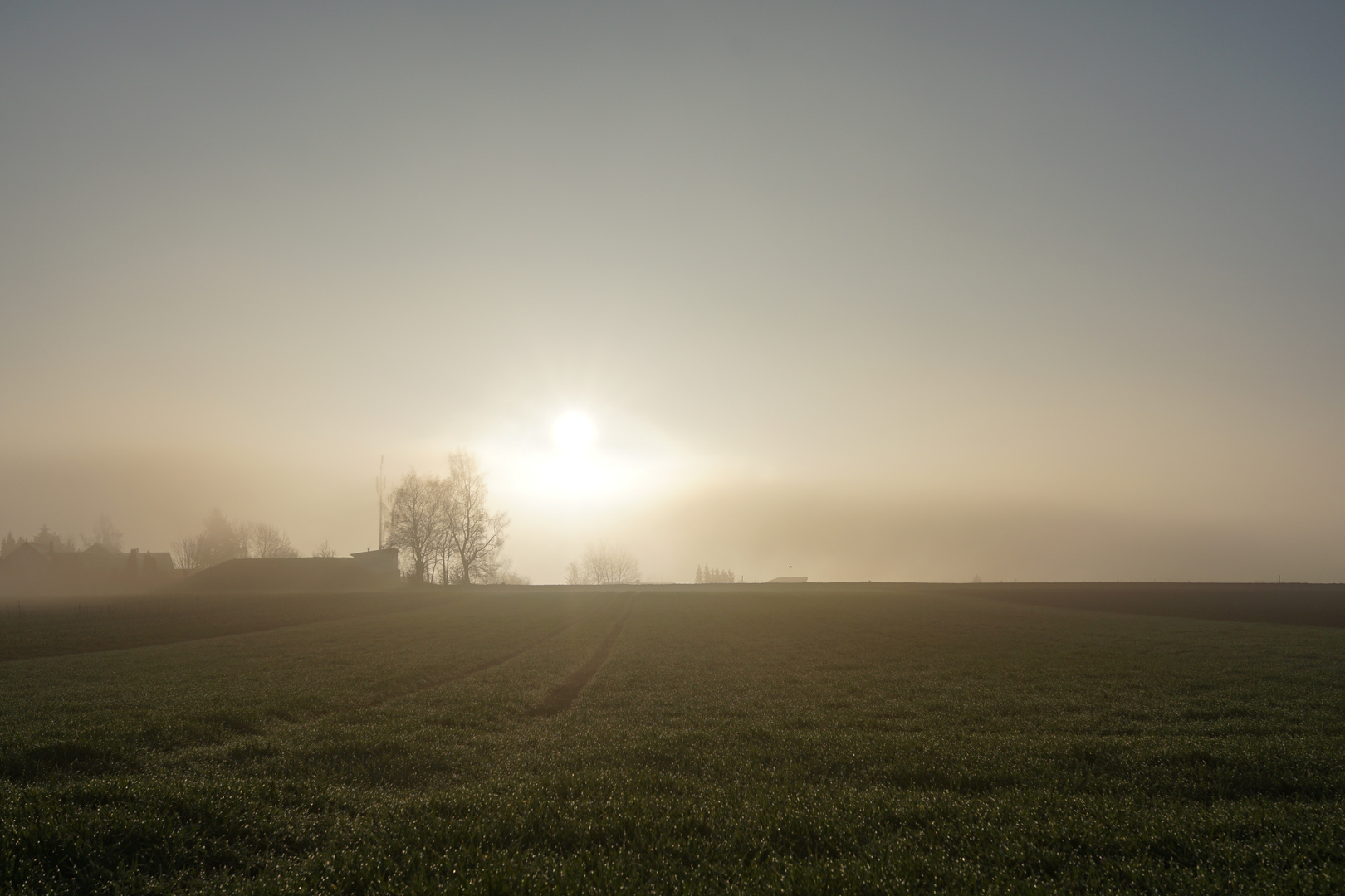 Morgensonne im Nebel