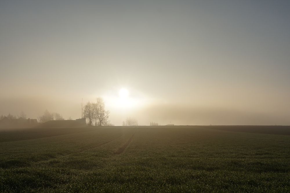 Morgensonne im Nebel