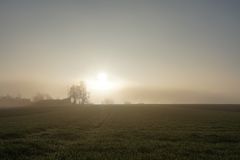 Morgensonne im Nebel