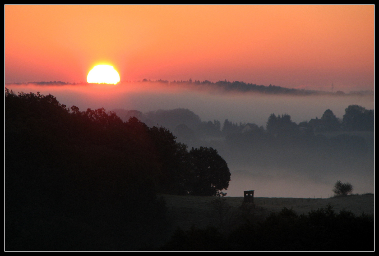 Morgensonne im Nebel