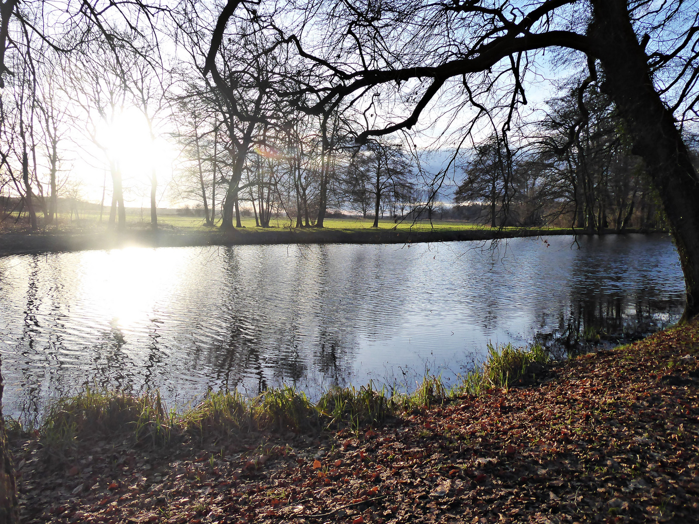 Morgensonne im Park