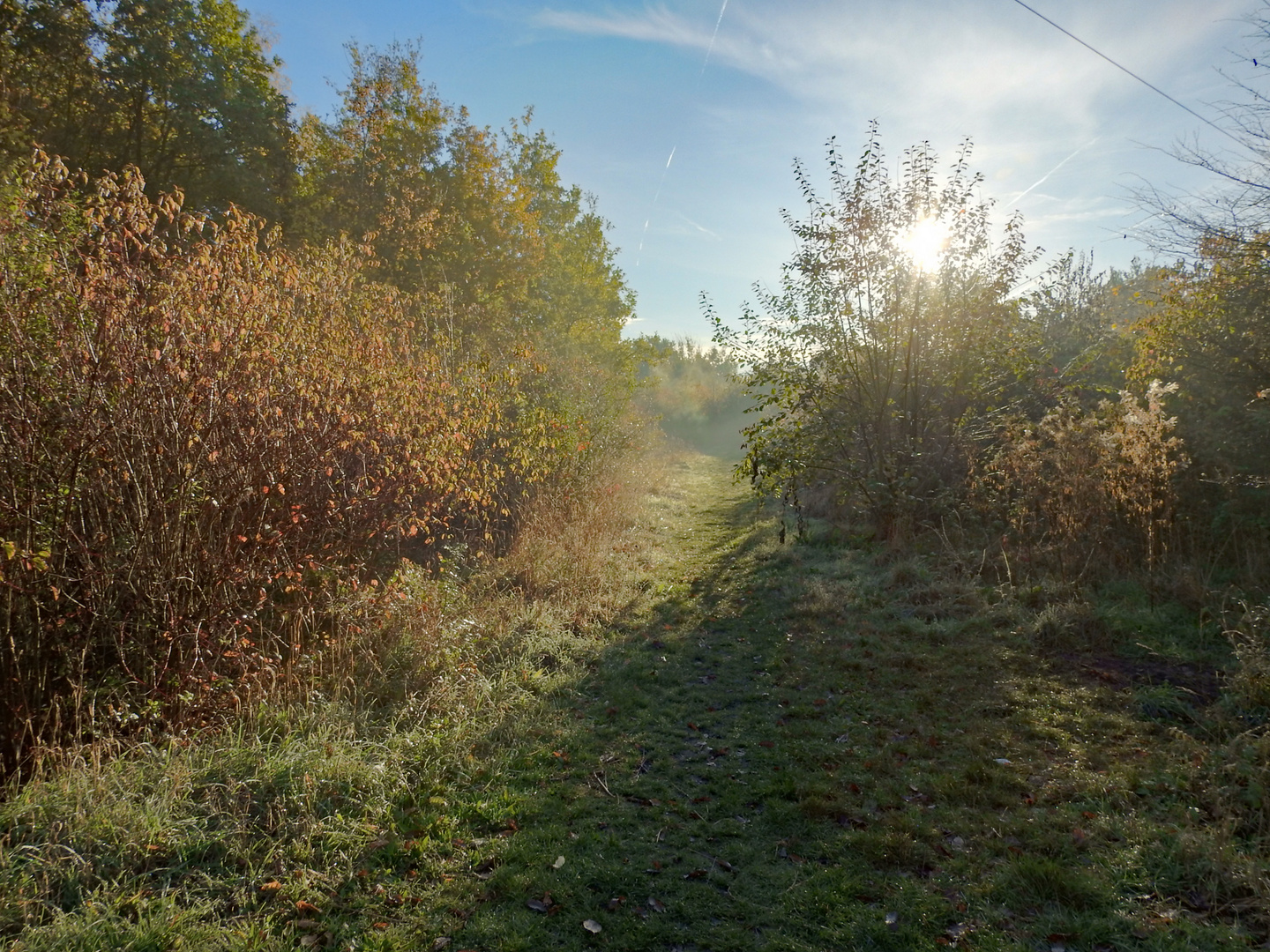 Morgensonne im Revierpark