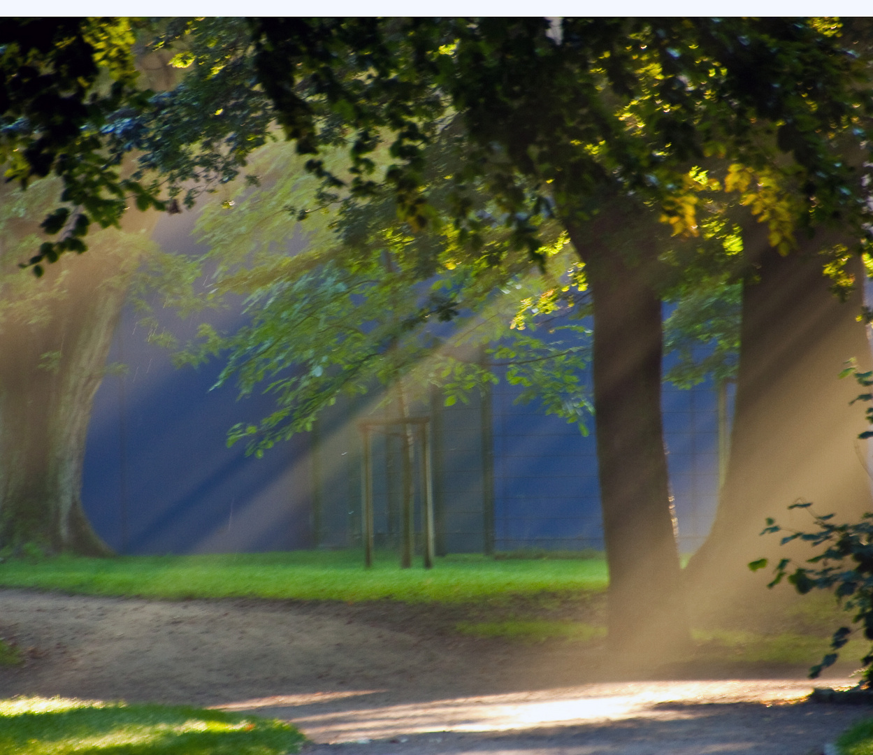 Morgensonne im Schloßpark, Husum