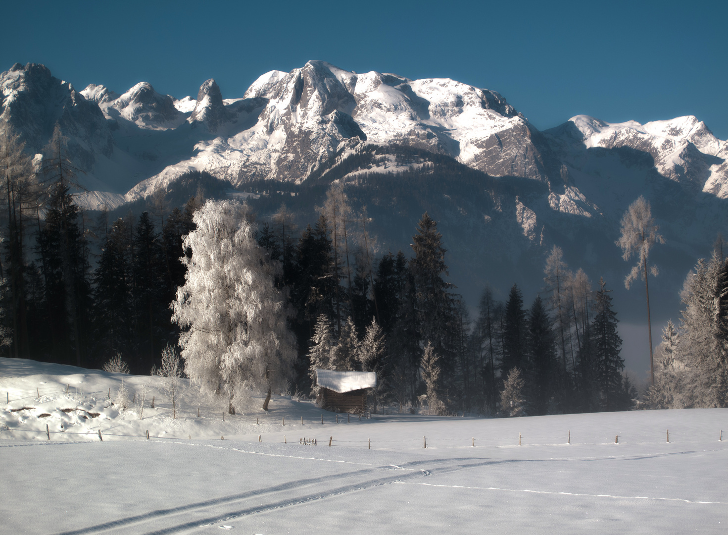 Morgensonne im Schnee