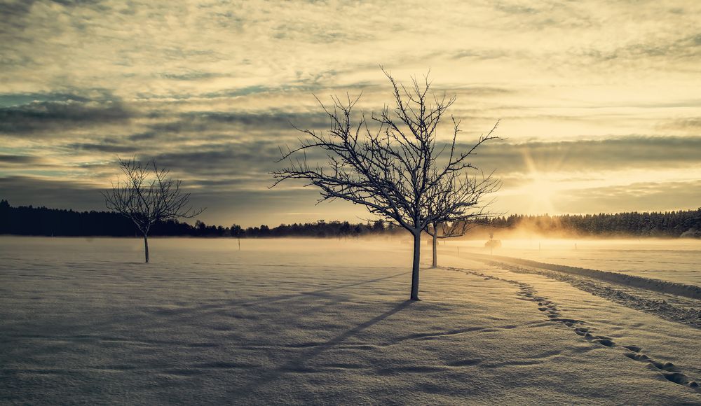 Morgensonne im Winter